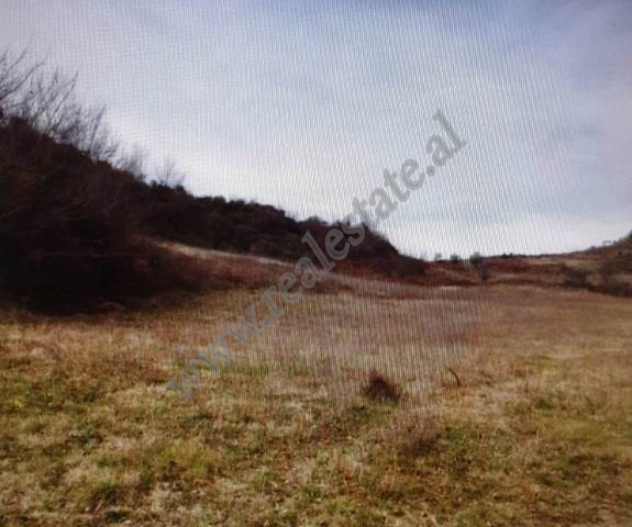 Land for sale on the national road Tirana-Elbasan.

The land has a surface of 13,600 m2 divided in